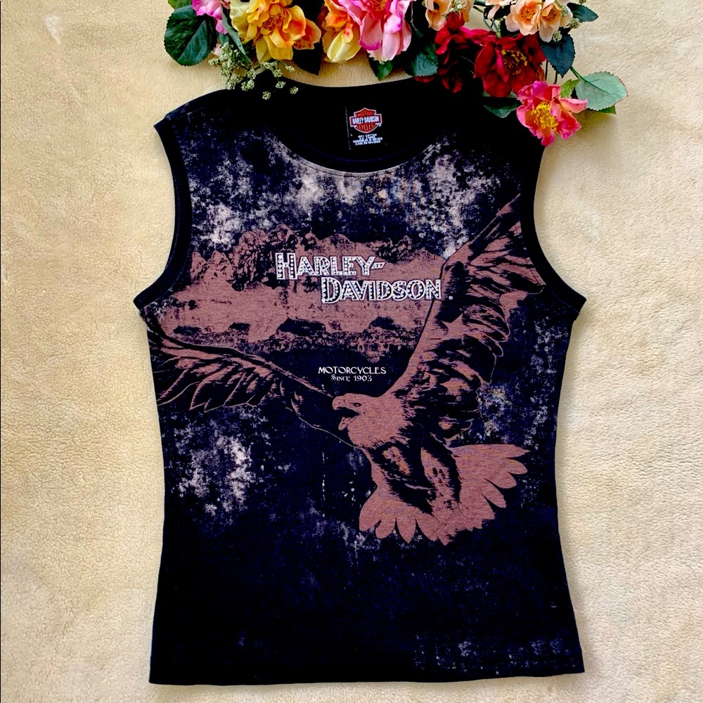 🤗 Harley Davidson top.